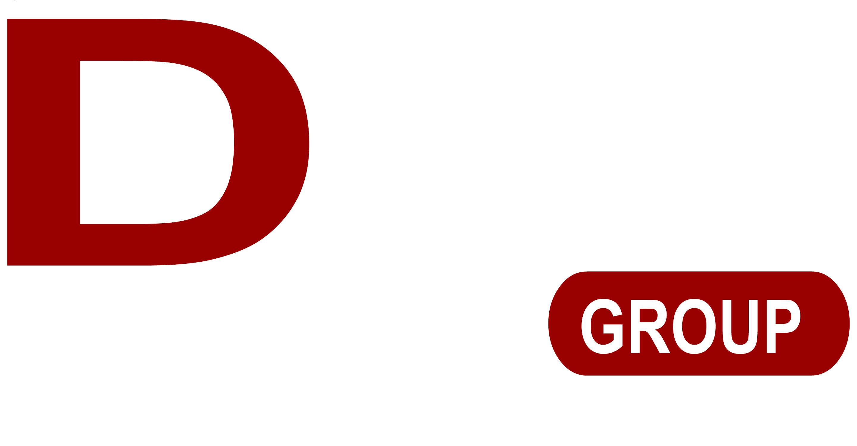 DYN MULTIMEDIA GROUP