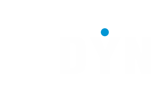 DYN MULTIMEDIA GROUP